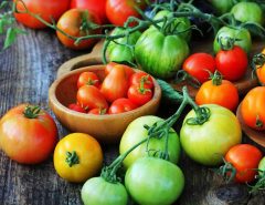 How to make a tomato plant step by step?