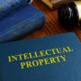 What is the role of the intellectual property law?