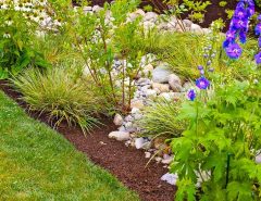 7 Affordable Drainage Solutions for Your Yard