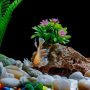 What are the best decorations for a fish tank?