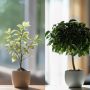 Best air circulation solutions for floor plants