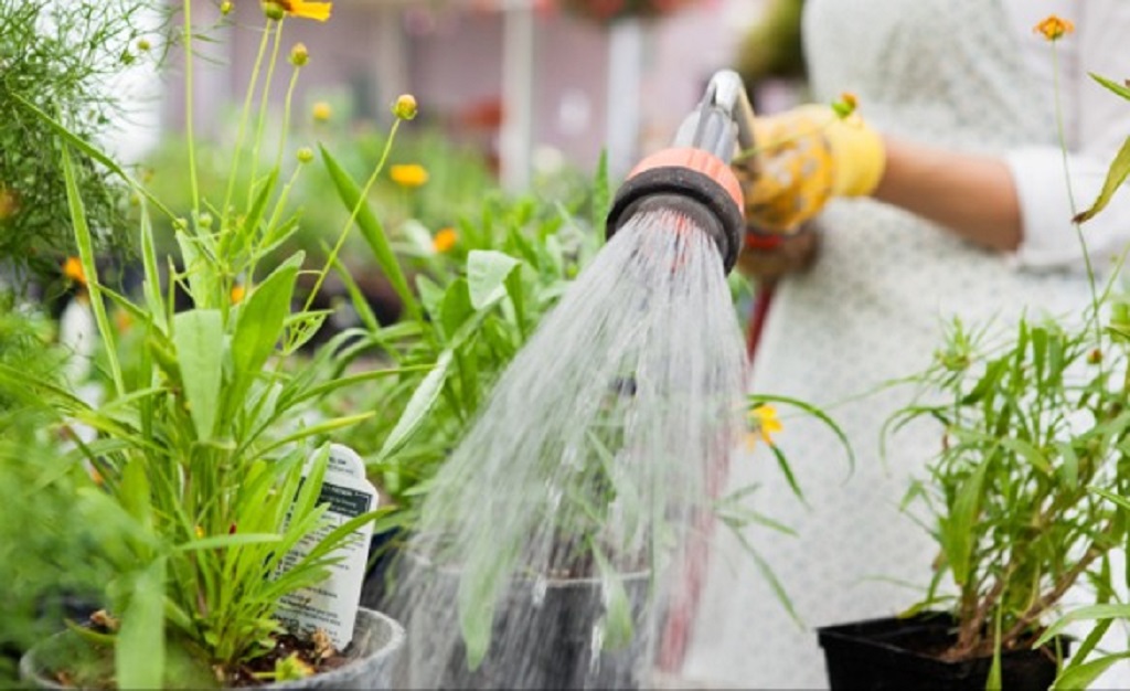 How do I protect my floor from plant water